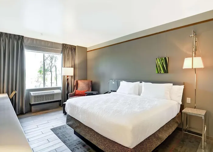 Hotel Hilton Garden By Hilton Phoenix/tempe Asu Area, Az